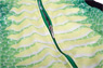 Costume-gilet Dinosauro