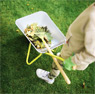 Wheelbarrow with Gardening Tools