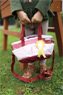 Horse Care Set with Bag red