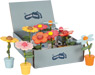 Display Drückfiguren Blumen