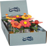 Display Figure a pressione &quot;Fiori&quot;