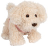 Dog with a pink bag and care set