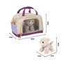 Cat with a bag and care set purple