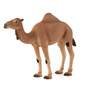Animal Planet Cammello Arabo