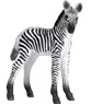 Animal Planet Cucciolo di zebra