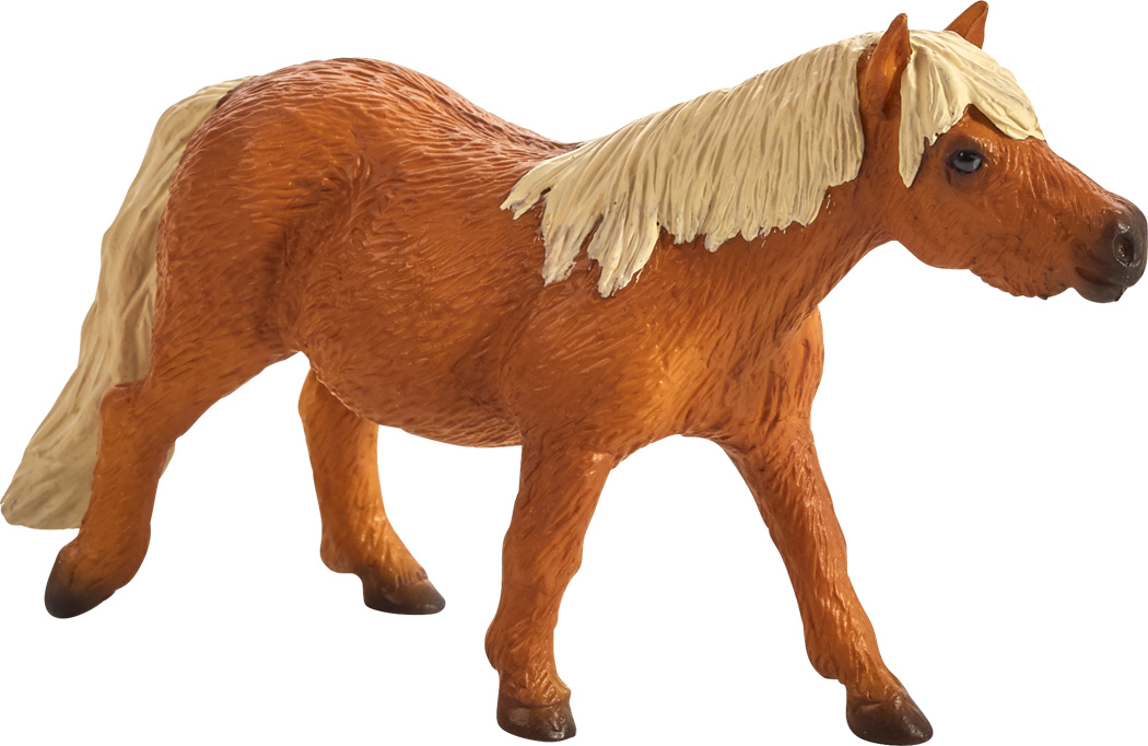 Animal Planet Shetlandpony | Legler Spielzeug